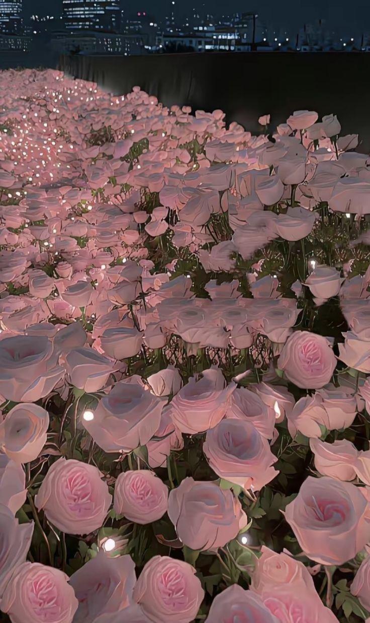Serene Sunset Exotic Flora Medley